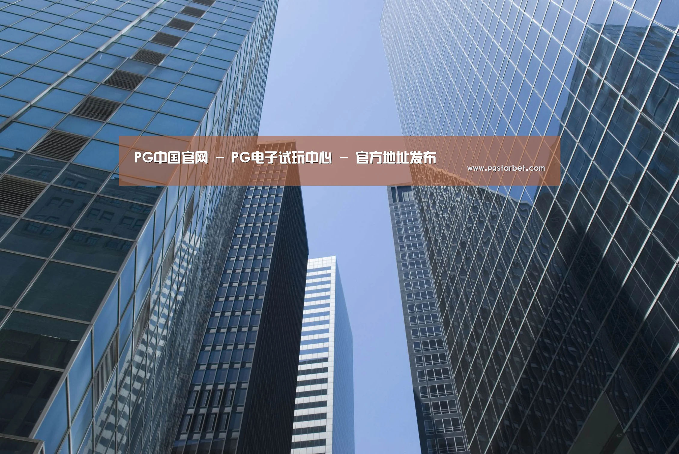 PG中国公司简介 