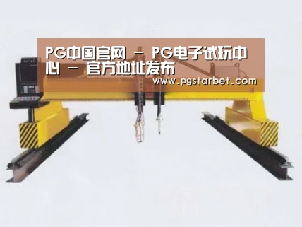 产品名称十九