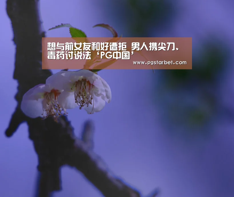 想与前女友和好遭拒 男人携尖刀、毒药讨说法‘PG中国’(图1) PG中心