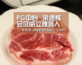 PG中心-余德辉会见威立雅客人(图2) PG中国