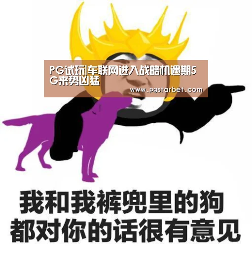 PG试玩|车联网进入战略机遇期5G来势凶猛(图1) PG地址