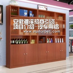 安徽濉溪招商引资项目介绍-汽车用铝合金精密铸件项目‘PG中国’(图1) PG中心