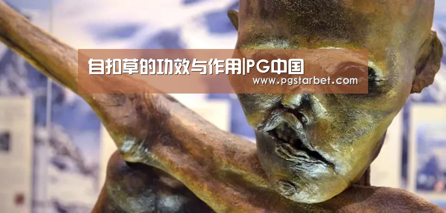 自扣草的功效与作用|PG中国(图4) PG试玩