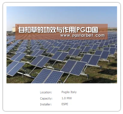 自扣草的功效与作用|PG中国(图3) PG地址