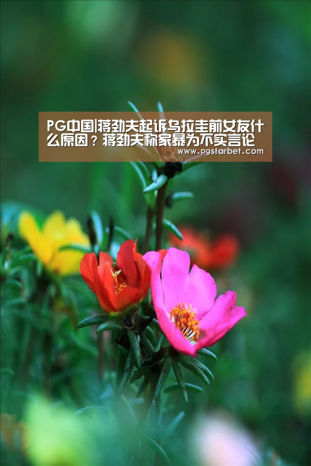 PG地址