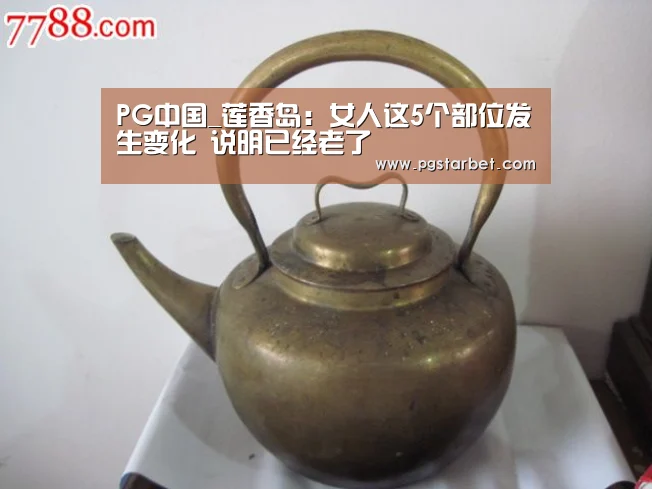 PG试玩