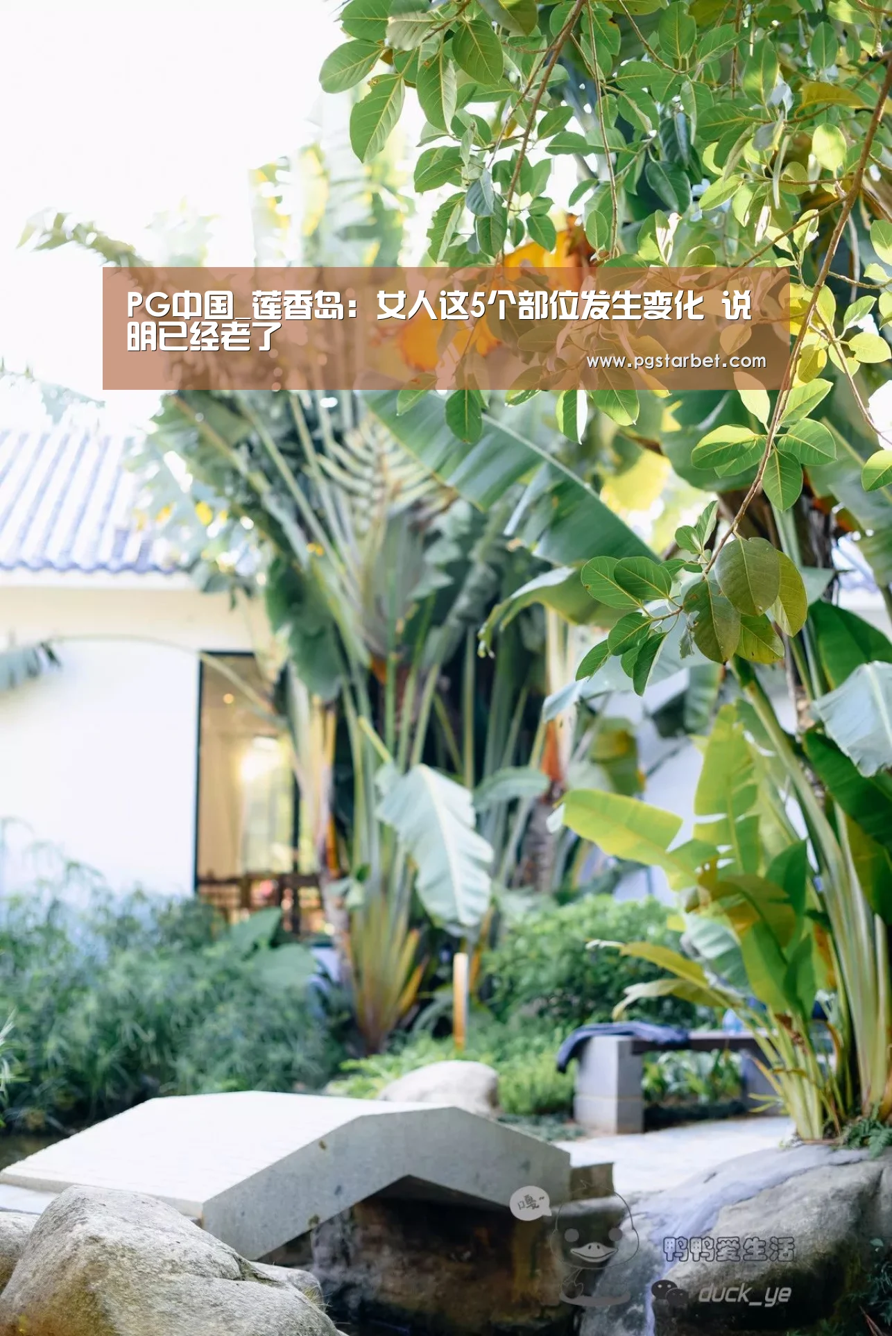 PG中国