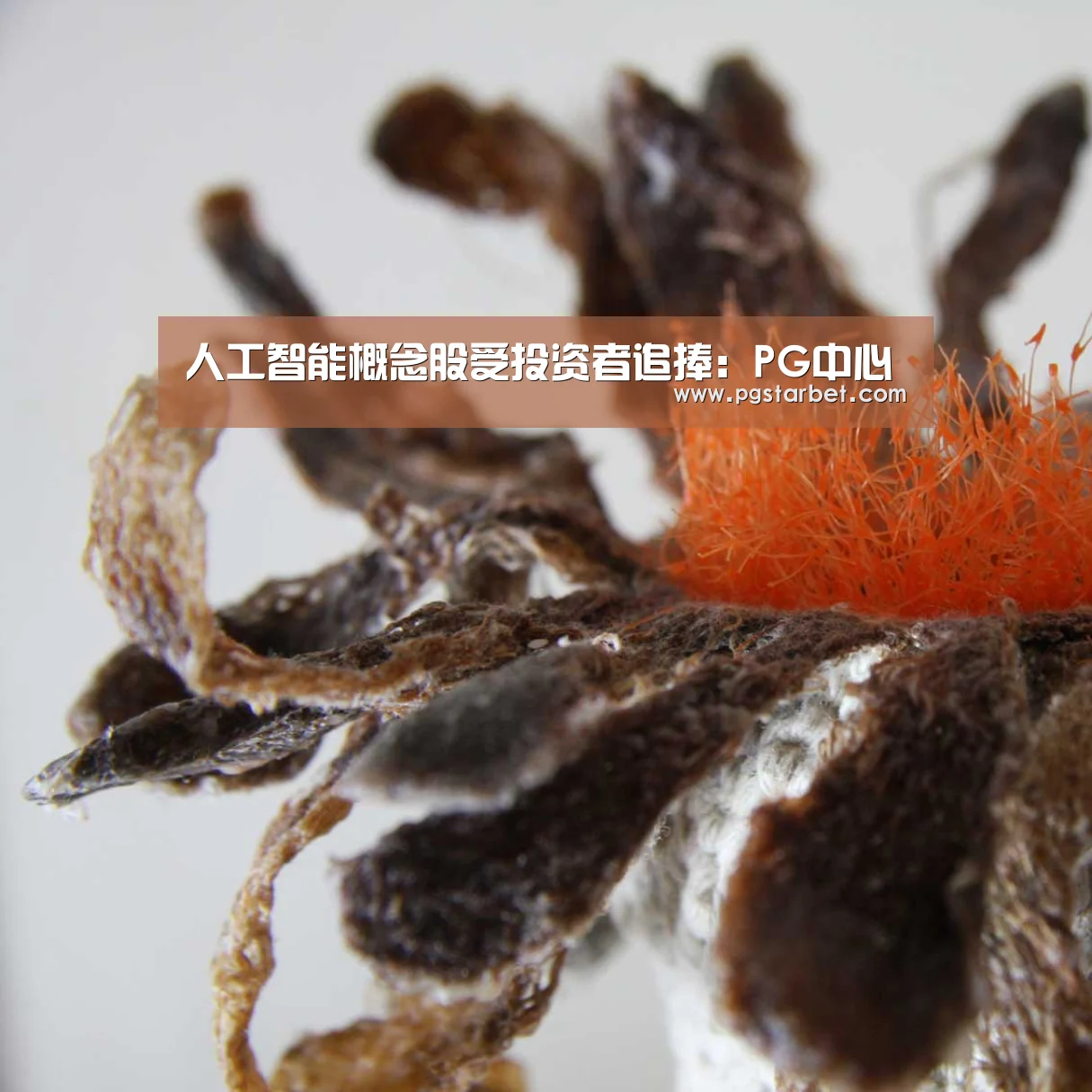 人工智能概念股受投资者追捧:PG中心(图1) PG中心