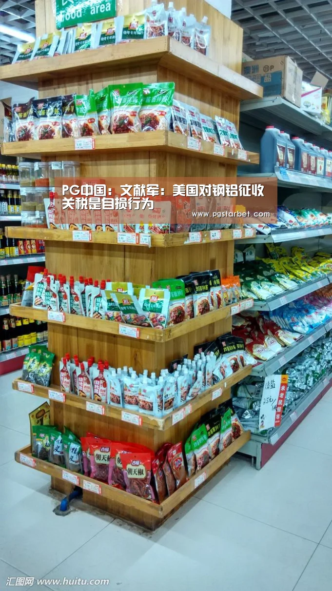 PG中国:文献军:美国对钢铝征收关税是自损行为(图2) PG地址