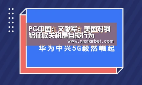 PG中国:文献军:美国对钢铝征收关税是自损行为(图1) PG试玩
