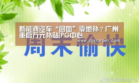 新能源汽车“回血”靠地补?广州重启万元补贴|PG中心(图3) PG中心