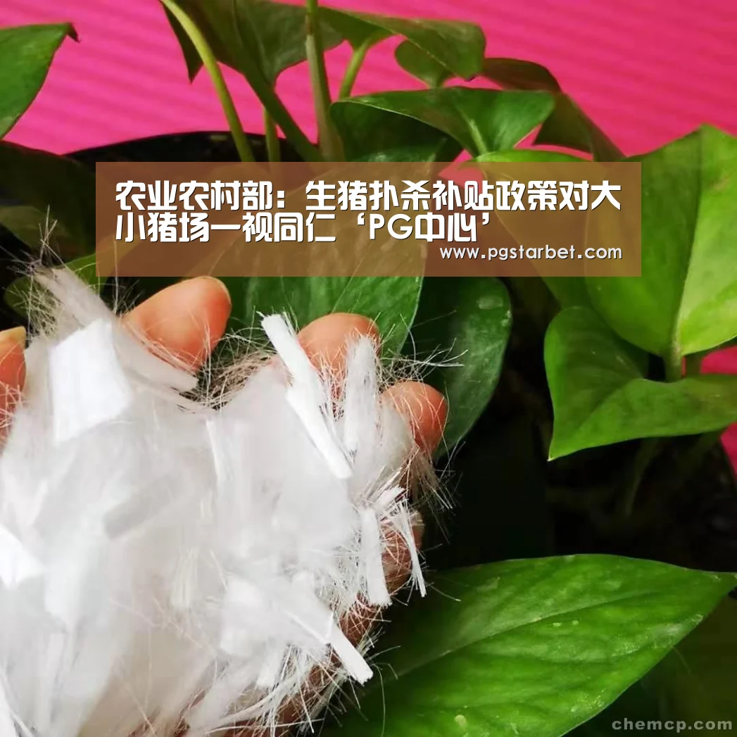 农业农村部:生猪扑杀补贴政策对大小猪场一视同仁‘PG中心’(图1) PG地址