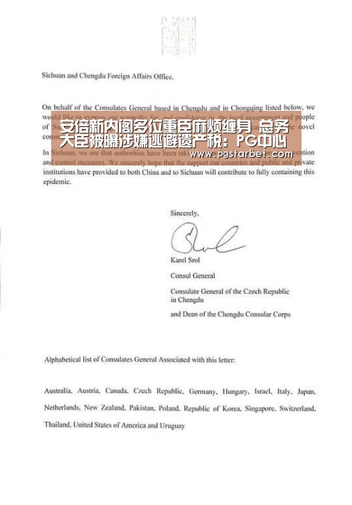 安倍新内阁多位重臣麻烦缠身 总务大臣被曝涉嫌逃避遗产税:PG中心(图3) PG地址