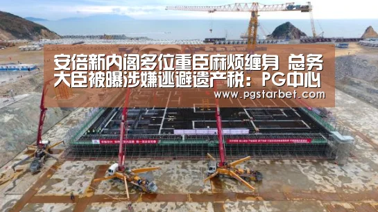 安倍新内阁多位重臣麻烦缠身 总务大臣被曝涉嫌逃避遗产税:PG中心(图4) PG中国