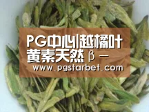 PG中心|越橘叶黄素天然β-胡萝卜素胶囊 缓解视力疲劳(图1) PG中心