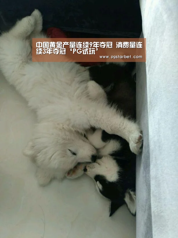 中国黄金产量连续9年夺冠 消费量连续3年夺冠‘PG试玩’(图2) PG中国