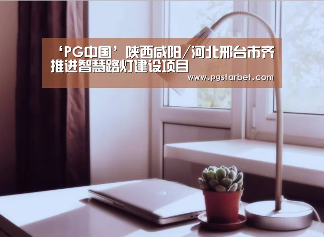 ‘PG中国’陕西咸阳/河北邢台市齐推进智慧路灯建设项目(图2) PG地址