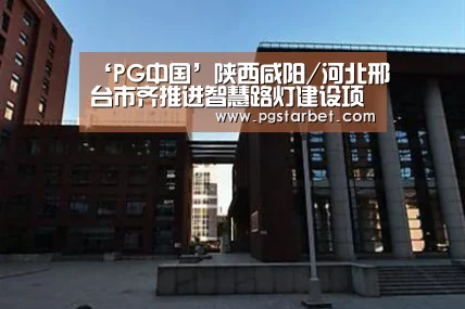 ‘PG中国’陕西咸阳/河北邢台市齐推进智慧路灯建设项目(图4) PG试玩