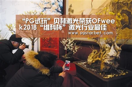 “PG试玩”贝林激光荣获OFweek2018“维科杯”激光行业最佳激光器技术创新奖(图4) PG地址