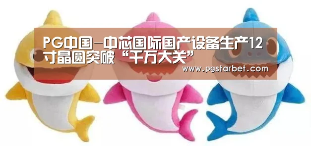 PG中国-中芯国际国产设备生产12寸晶圆突破“千万大关”(图3) PG中心