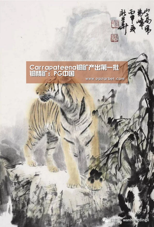 Carrapateena铜矿产出第一批铜精矿:PG中国(图1) PG中心